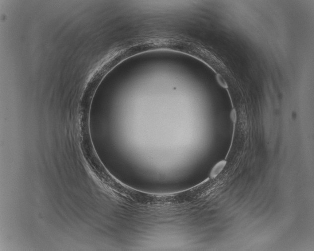 X0000069830730200605221206