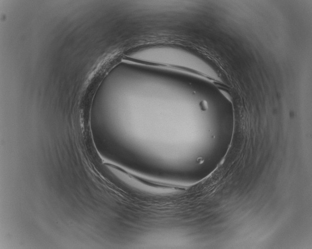 X0000069830731200605221206