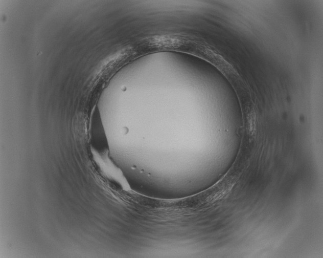 X0000069830733200605221206