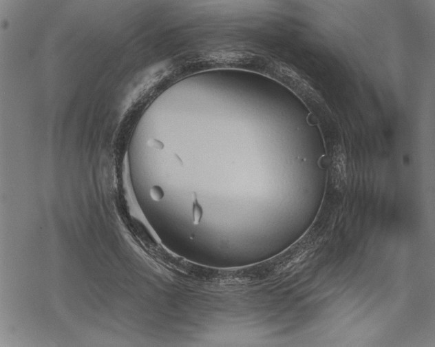 X0000069830734200605221206