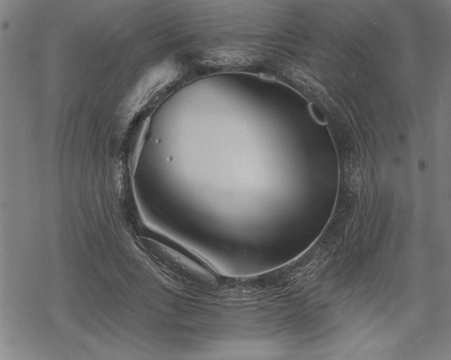 X0000069830735200605221206