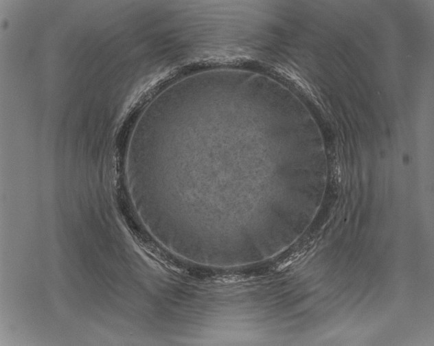 X0000069830736200605221206