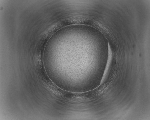 X0000069830737200605221206