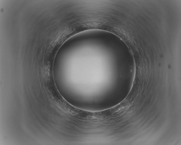 X0000069830739200605221206