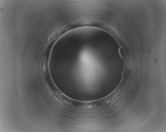 X0000069830740200605221206