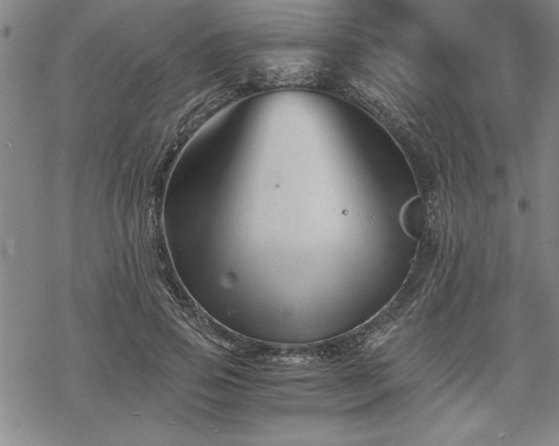 X0000069830741200605221206