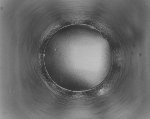 X0000069830742200605221206