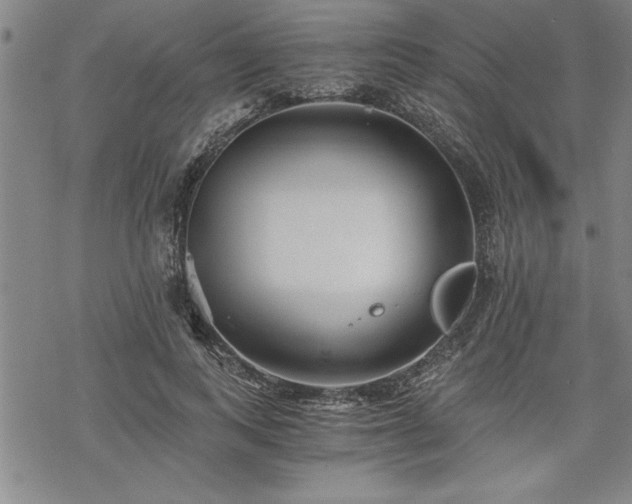 X0000069830743200605221206