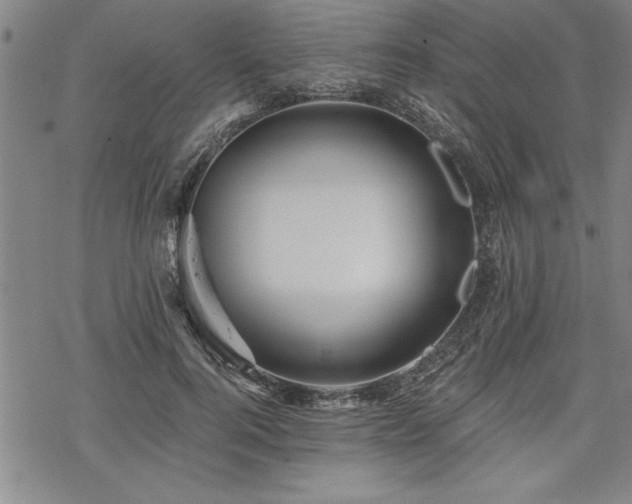 X0000069830744200605221206