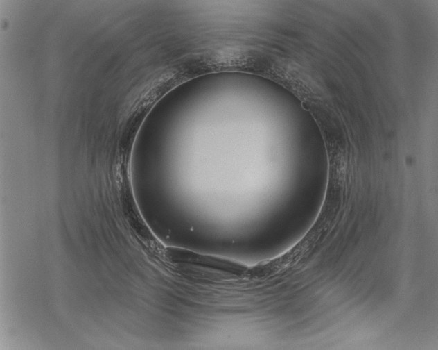 X0000069830746200605221206