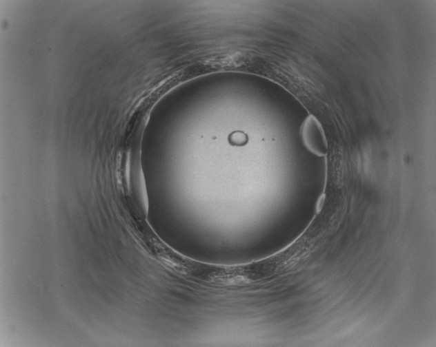 X0000069830747200605221206