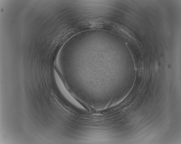 X0000069830748200605221206