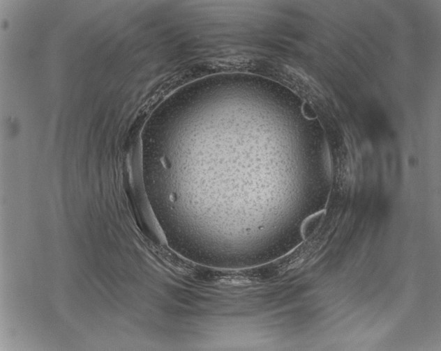 X0000069830749200605221206