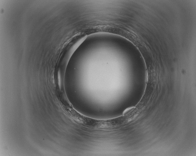 X0000069830750200605221206