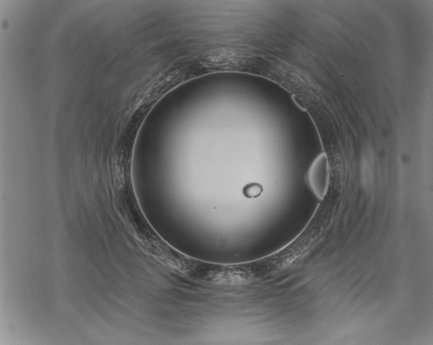 X0000069830751200605221206