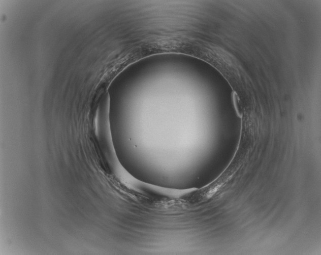 X0000069830752200605221206