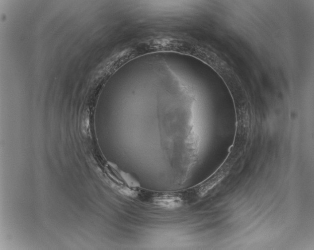 X0000069830754200605221206