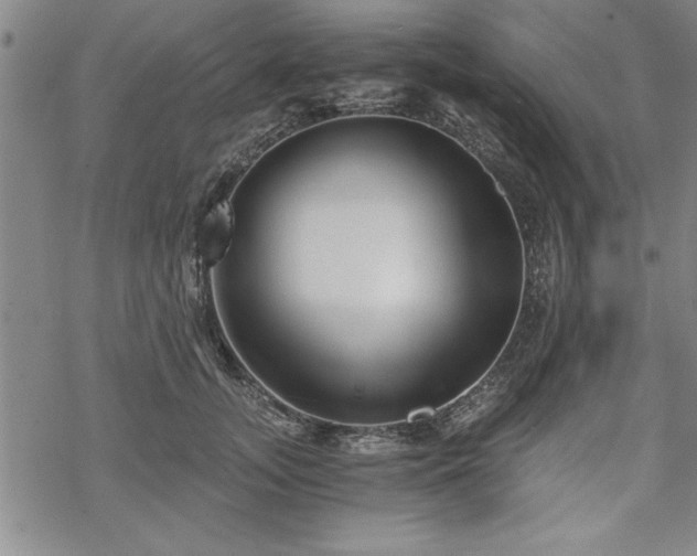 X0000069830755200605221206