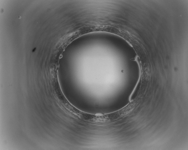 X0000069830756200605221206