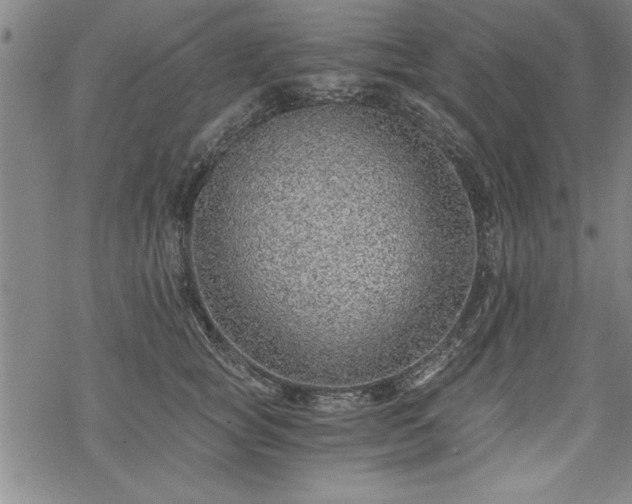 X0000069830757200605221206