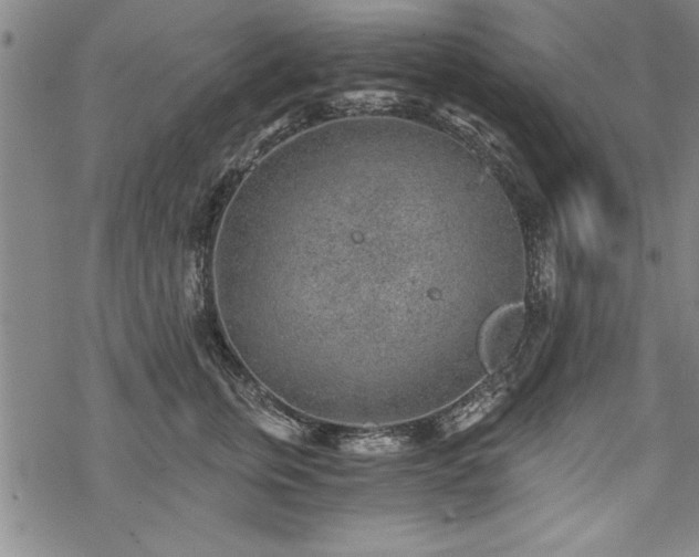 X0000069830759200605221207