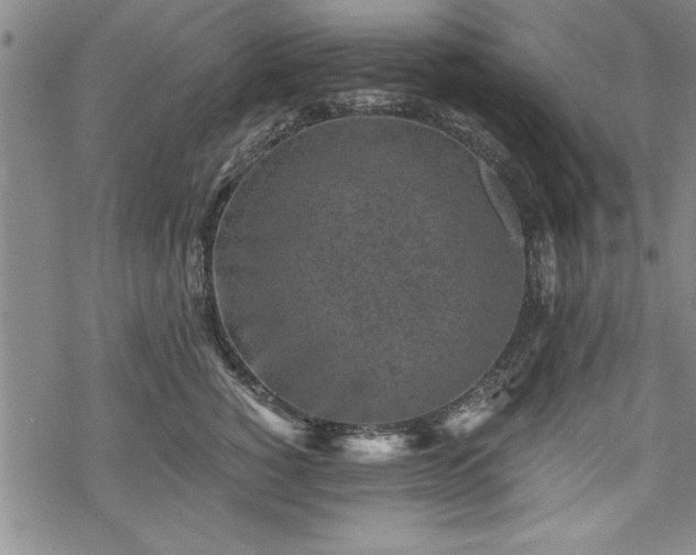 X0000069830760200605221207