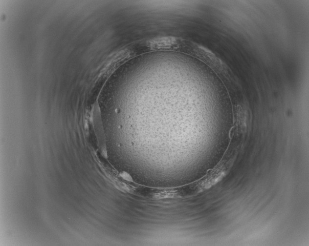 X0000069830761200605221207