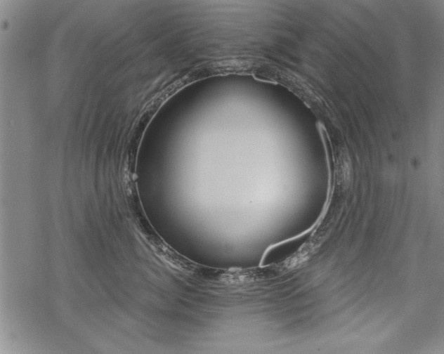 X0000069830764200605221207