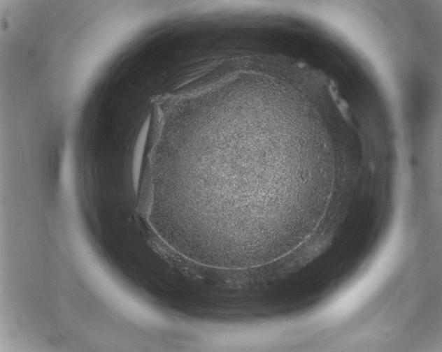 X0000069830765200605221207