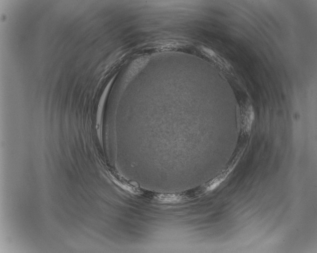 X0000069830766200605221207