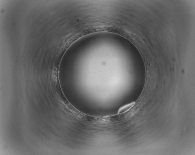 X0000069830768200605221207