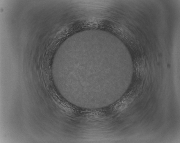 X0000069830769200605221206