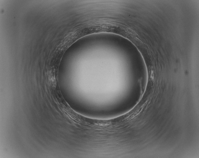 X0000069830771200605221206