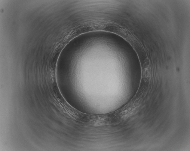 X0000069830772200605221206