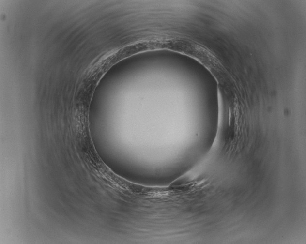 X0000069830773200605221206