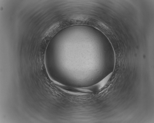 X0000069830774200605221206