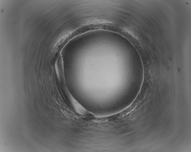 X0000069830775200605221206