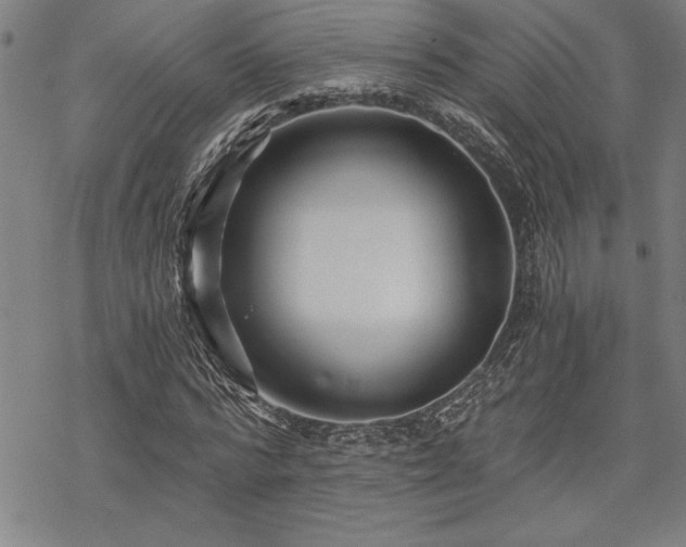 X0000069830776200605221206