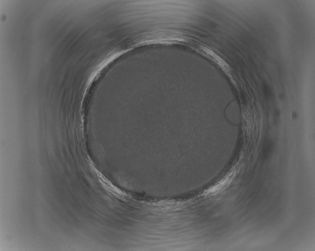 X0000069830779200605221206