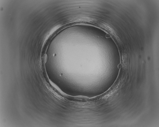 X0000069830780200605221206