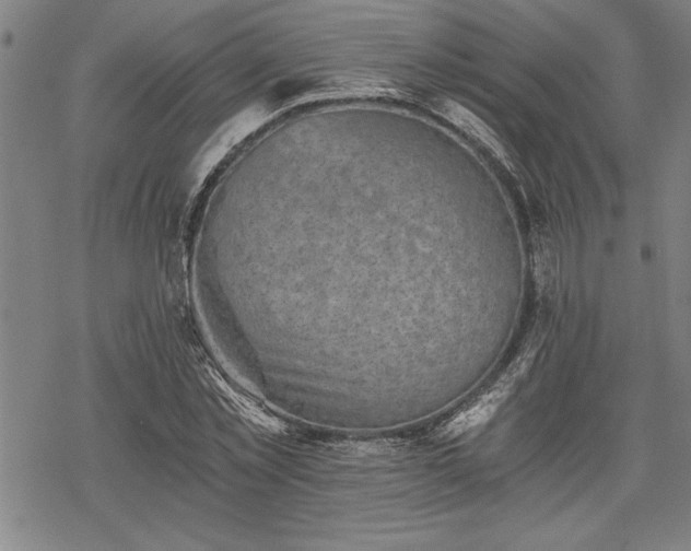 X0000069830781200605221206