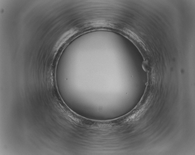 X0000069830782200605221206