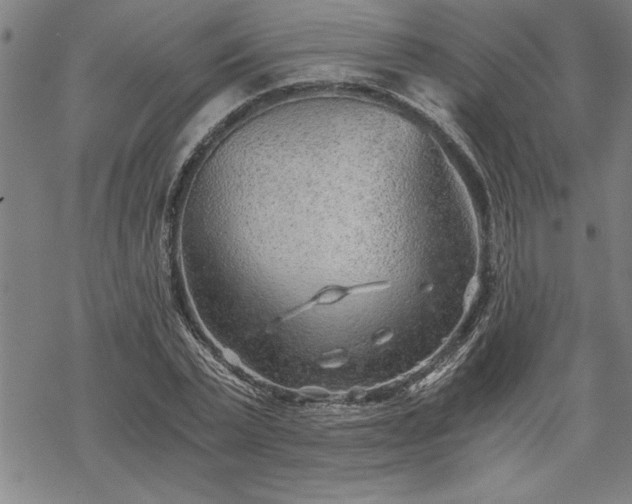 X0000069830783200605221206