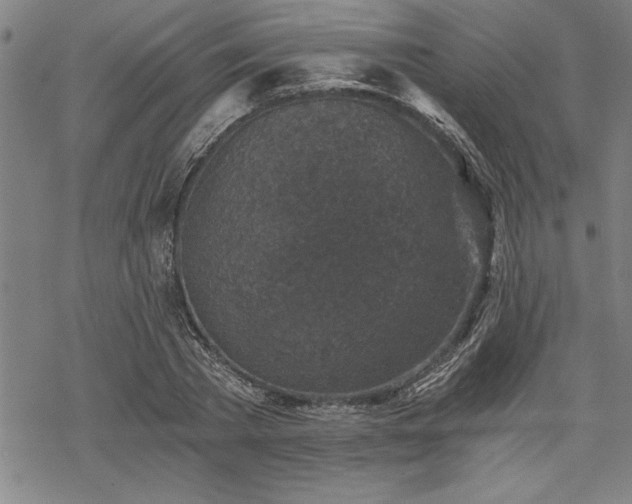 X0000069830785200605221206