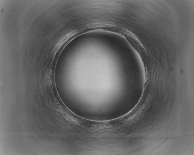 X0000069830786200605221206