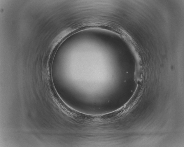 X0000069830787200605221206