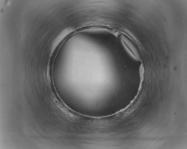 X0000069830788200605221206