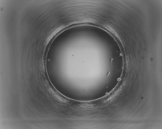 X0000069830789200605221206