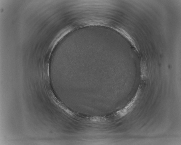 X0000069830790200605221206