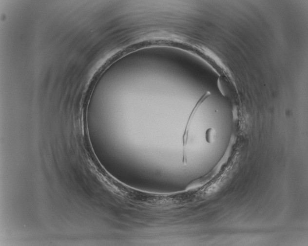 X0000069830791200605221206